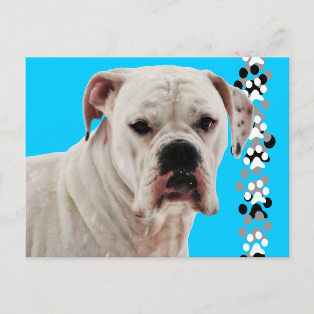 Postal Foto del Boxeador blanco (Anverso)