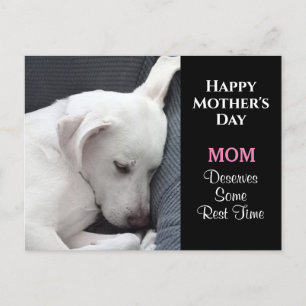 Postal Foto del Día de la Madre del Perro Blanco Dormido