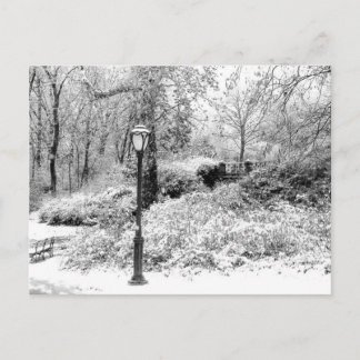 Postal Foto del paisaje de la nieve del invierno del