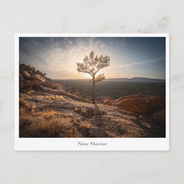 Postal Foto del paisaje de Nuevo México (Anverso)