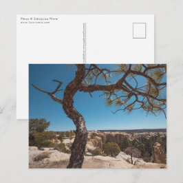 Postal Foto del paisaje de Nuevo México