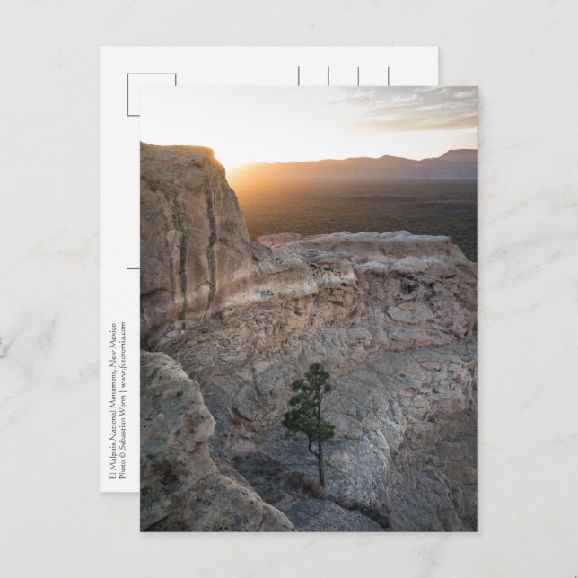 Postal Foto del paisaje de Nuevo México (Anverso / Reverso)