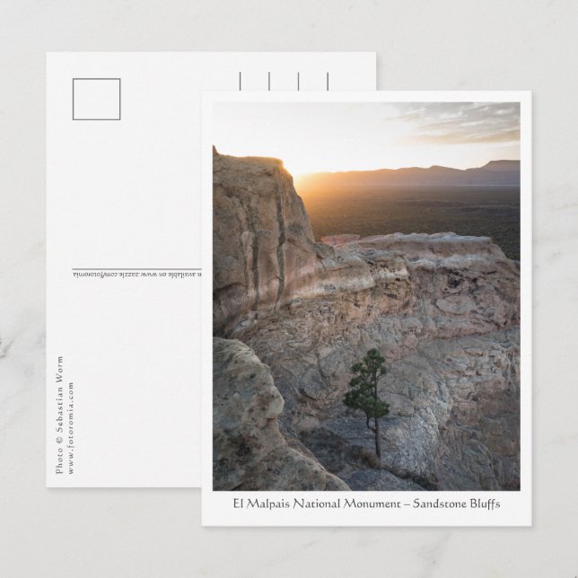 Postal Foto del paisaje de Nuevo México (Anverso / Reverso)