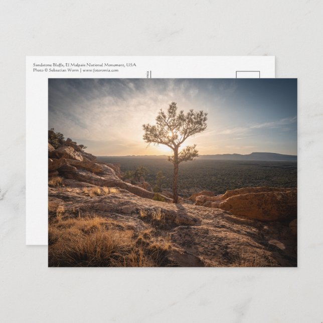 Postal Foto del paisaje de Nuevo México (Anverso / Reverso)