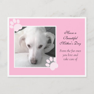 Postal Foto del singular Día de la Madre Perro Blanco