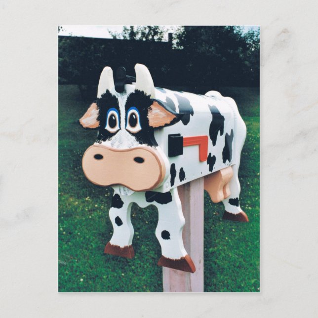 Postal Foto divertida del buzón de correo de vaca (Anverso)