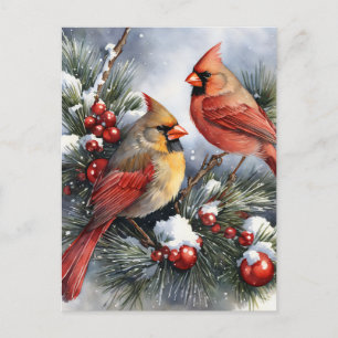 Postal Foto familiar de Navidades de aves cardenales de é