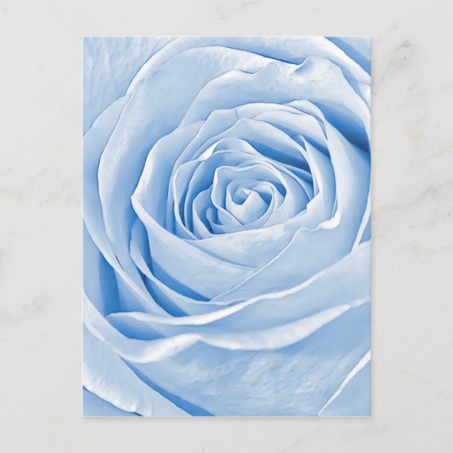 Postal Foto floral Dainty Light Blue Rosa (Anverso)
