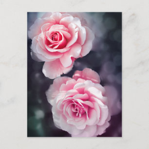 Postal Foto floral de rosas rosas rosas femeninas
