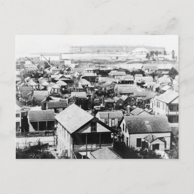 Postal Foto histórica de Key West 1895 (Anverso)