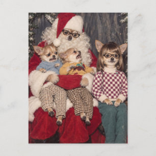 Postal Foto incómoda de Chihuahua en Navidad con Santa