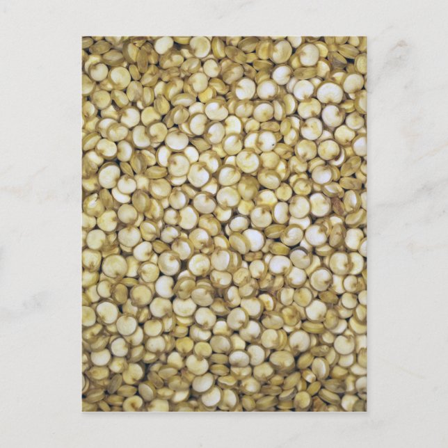 Postal Foto macro de granos de Quinoa (Anverso)