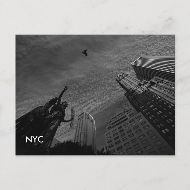 Postal foto, NYC (Anverso)