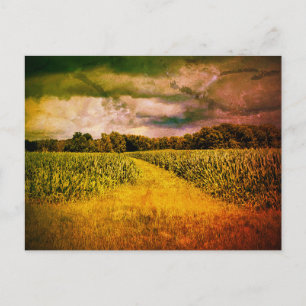 Postal Foto paisajística de Illinois