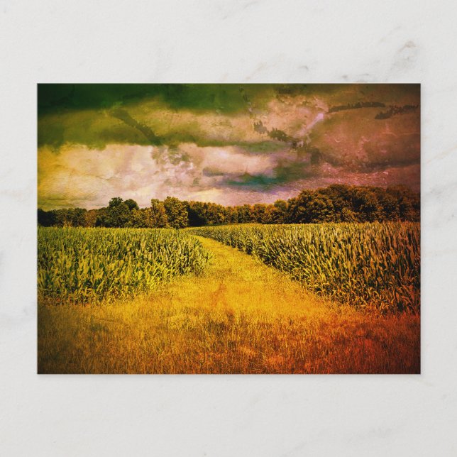 Postal Foto paisajística de Illinois (Anverso)