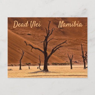 Postal Foto paisajística de Namibia muerta con texto