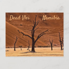 Postal Foto paisajística de Namibia muerta con texto