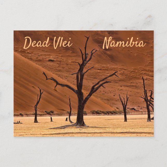 Postal Foto paisajística de Namibia muerta con texto (Anverso)