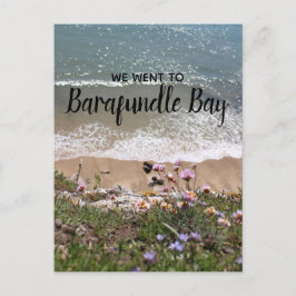 Postal Foto panorámica de Barafundle Bay Pembrokeshire Ga