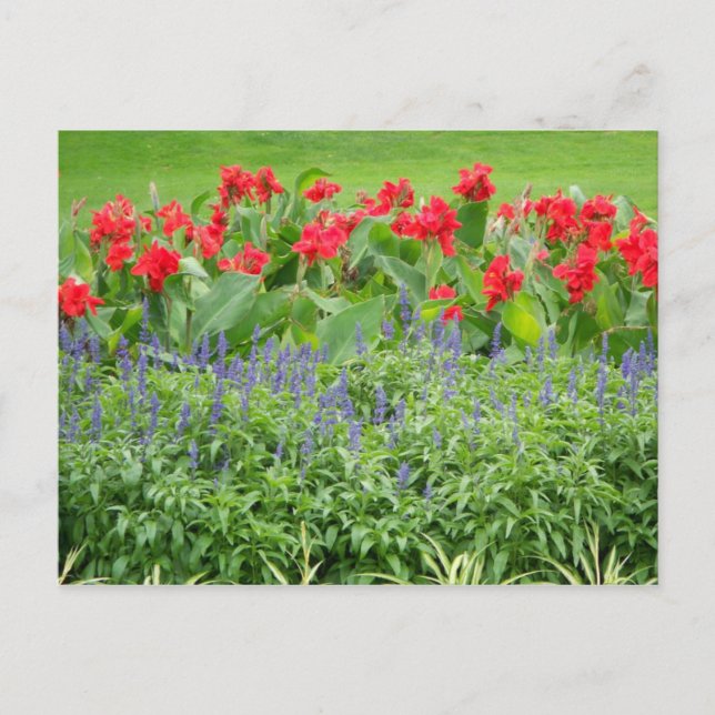 Postal Foto personalizada (Anverso)