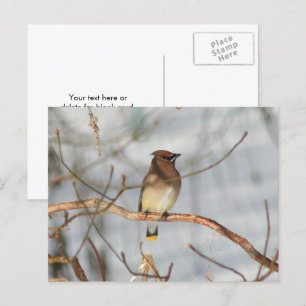 Postal Foto Personalizada de la Naturaleza y Vida Silvest