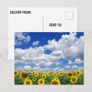 Postal Foto personalizada personalizada 
