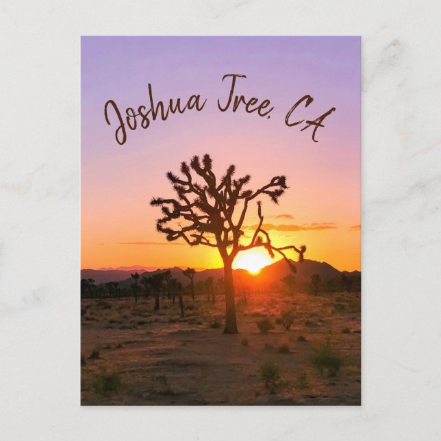 Postal Foto personalizado Naranja púrpura Joshua Tree Sun (Anverso)