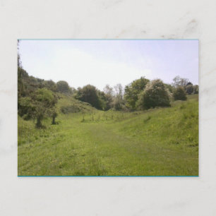 Postal Foto Postcard 18 Grassy Valley Track