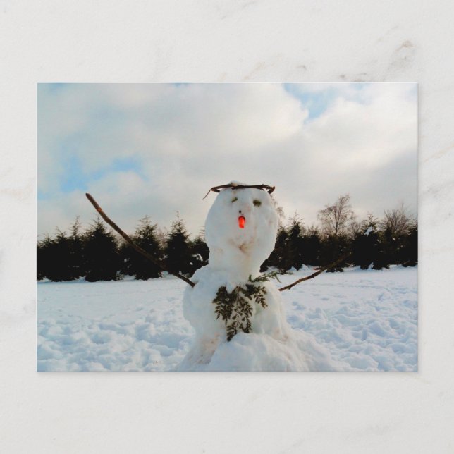 Postal Foto real de snowman (Anverso)