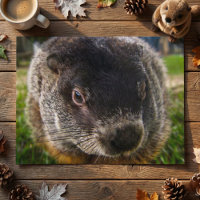 Foto realista de la cara de marmota de cerca con b