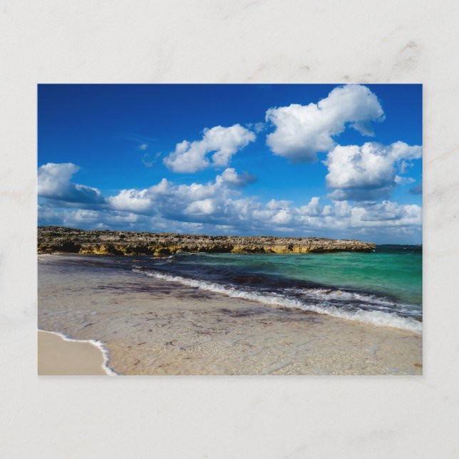 Postal Foto simple de playa tropical (Anverso)