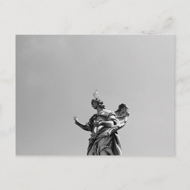 Postal Foto simple y moderna de la gaviota sobre la estat (Anverso)