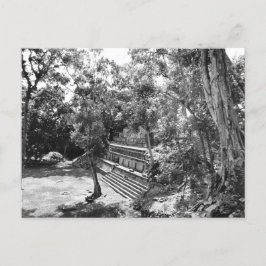 Postal Foto vintage de las ruinas maya copas de Honduras
