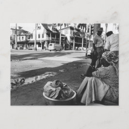 Postal Foto vintage de Paramaribo Surinam
