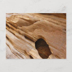 Postal Fotografía abstracta de la naturaleza de la pared 