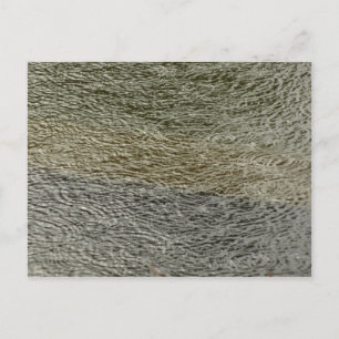 Postal Fotografía abstracta de la naturaleza de rizaduras