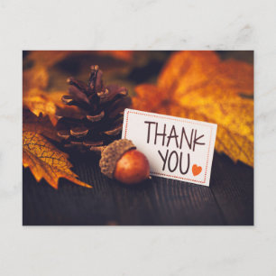 Postal Fotografía de Acción de Gracias de Otoño Fotografí
