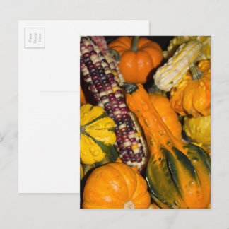Postal Fotografía de alimentos de dietas y de maíz Fall