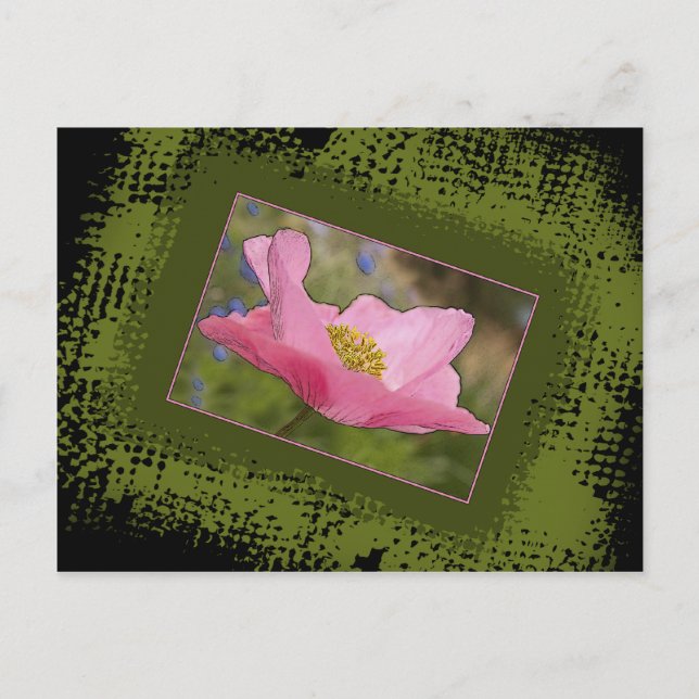 Postal Fotografía de amapola rosa de Bonito de todas las  (Anverso)