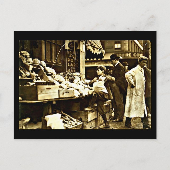 Postal Fotografía de Boston postcard-vintage 4 (Anverso)