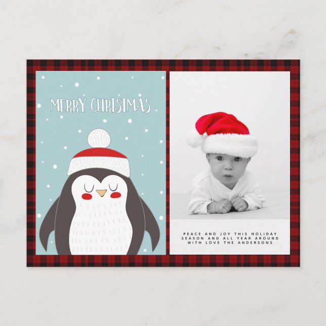 Postal Fotografía de búfalo navideña Nochevieja Pingüino  (Anverso)