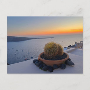 Postal Fotografía de Cactus Santorini Grecia Sunset