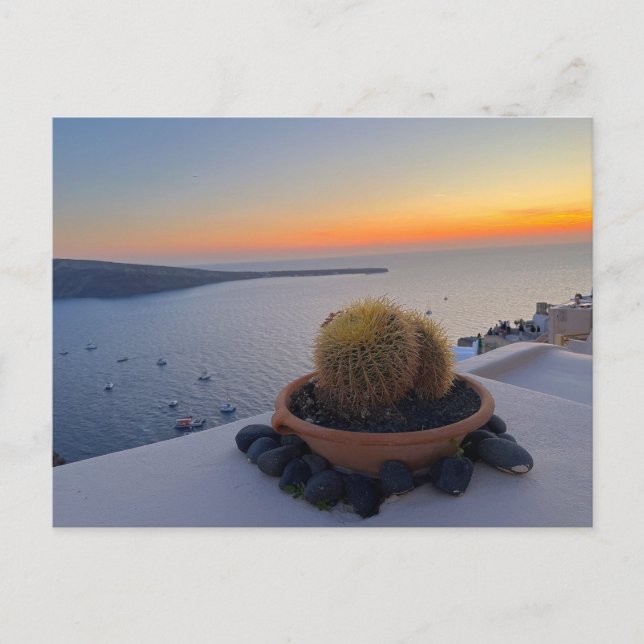 Postal Fotografía de Cactus Santorini Grecia Sunset (Anverso)