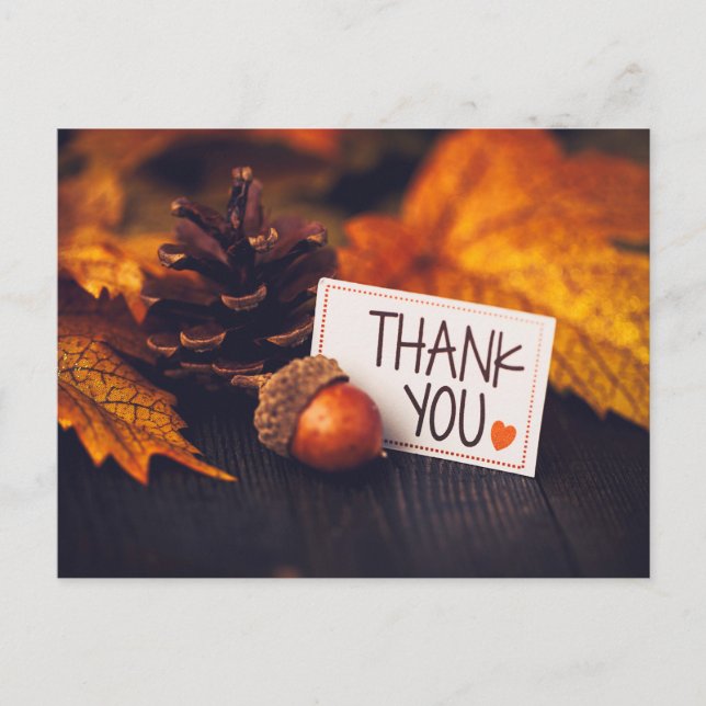 Postal Fotografía de calabaza de la fotografía del Día de (Anverso)