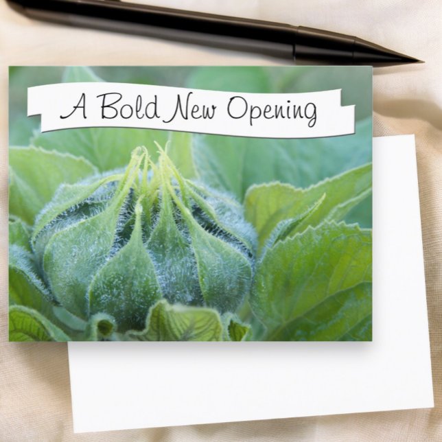 Postal Fotografía De Cierre De Wet Sunflower Bud (front dew covered sunflower photograph postcard with template text and blank back)