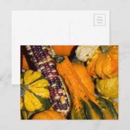Postal Fotografía de comida otoñal de calabazas y maíz