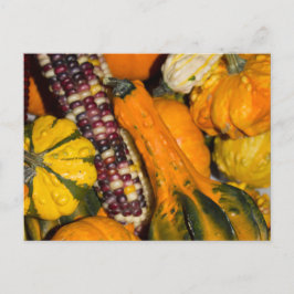 Postal Fotografía de comida otoñal de calabazas y maíz