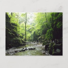 Postal Fotografía de Cornwall de St Nectans Glen