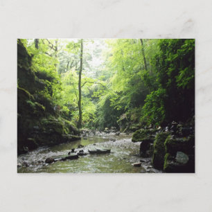 Postal Fotografía de Cornwall de St Nectans Glen