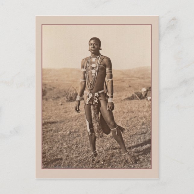 Postal Fotografía de cosecha masculina africana (Anverso)